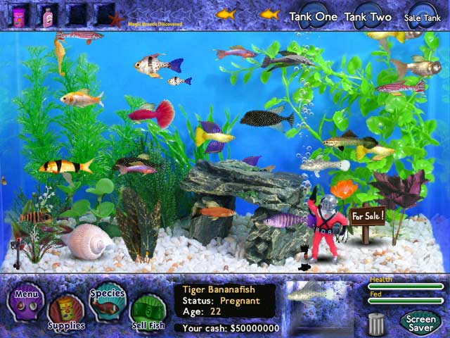 Free Download Game FISH TYCOON, Play Now FISH TYCOON Free Online Game