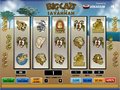 Free download Big Cats of the Savannah screenshot 1