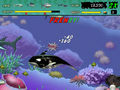 Free download FEEDING FRENZY screenshot 1