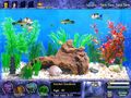 Free download FISH TYCOON screenshot 1