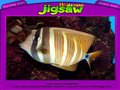 Free download Underwater Jigsaw Puzzle screenshot 3